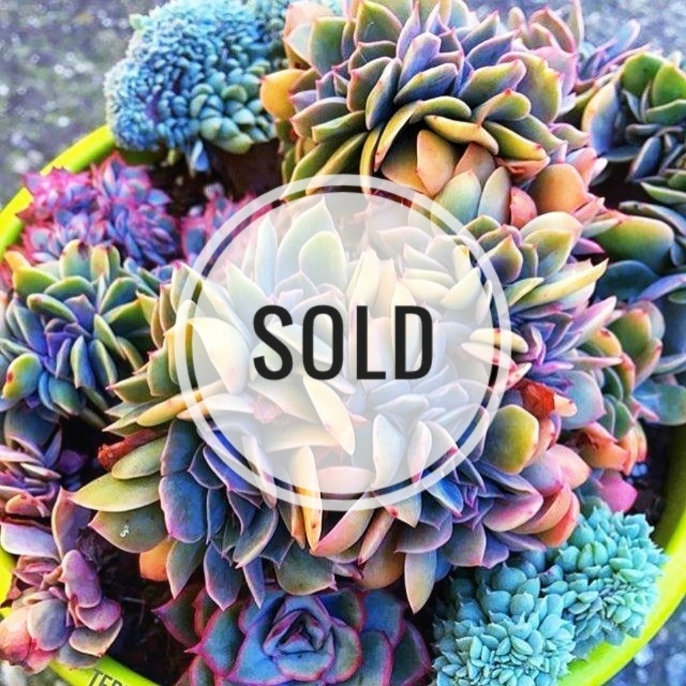 Sold items